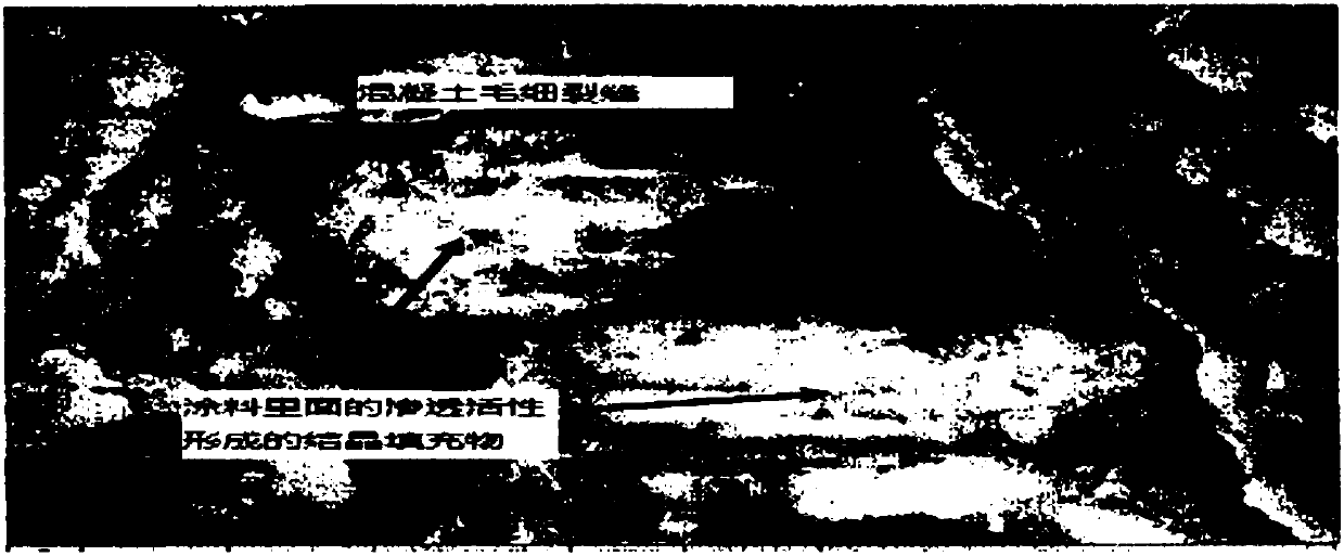 Permeable hydrophobic multifunctional novel waterproof coating and preparation method and applications thereof