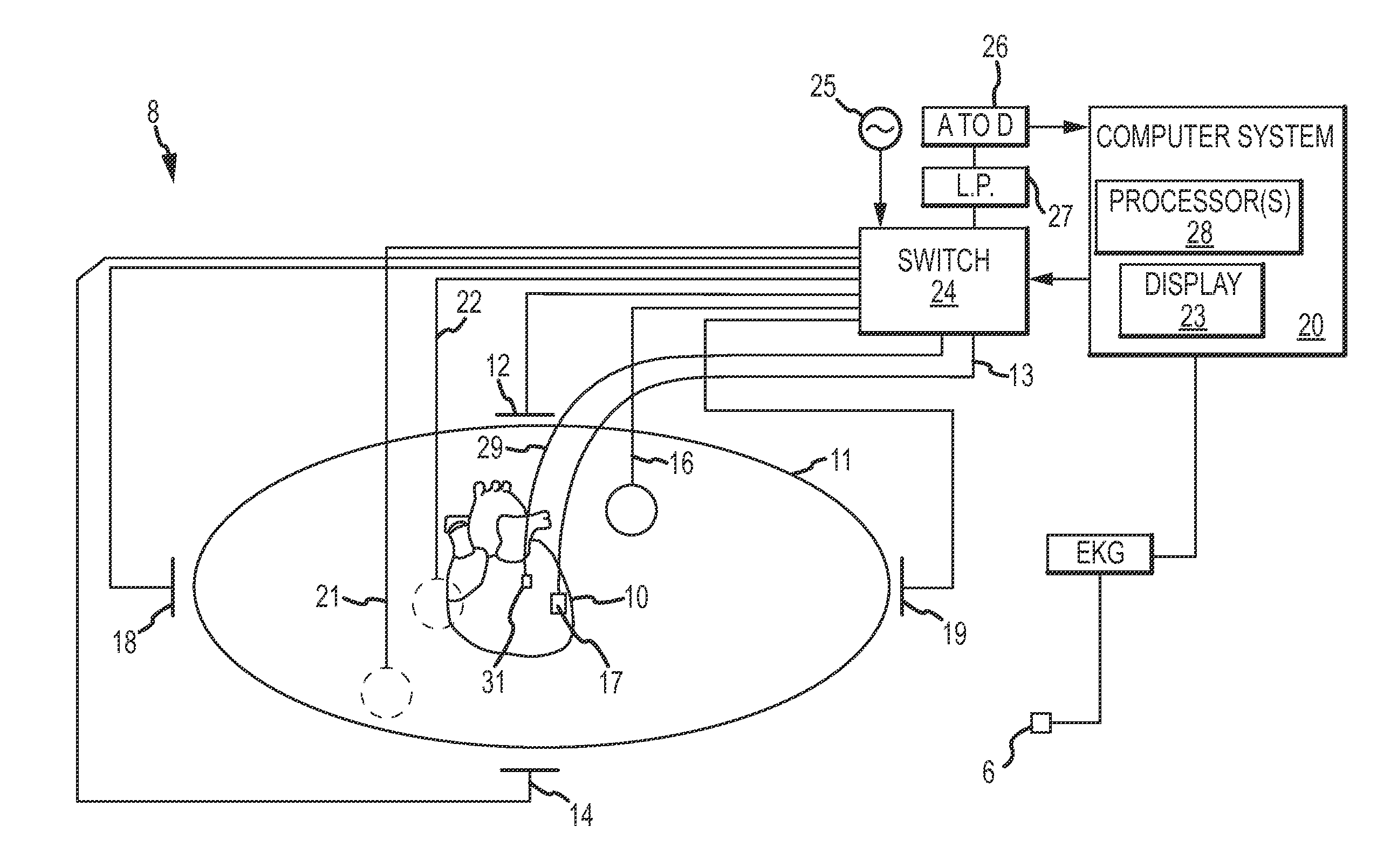 Systems and Methods for Generating, Storing, and Displaying Anatomical Maps