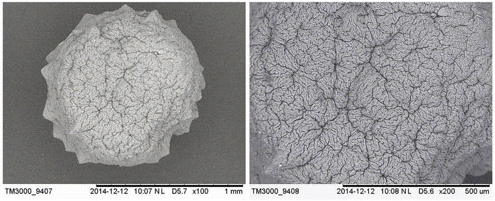 Preparation method of magnetic core-shell alginate microsphere adsorbent