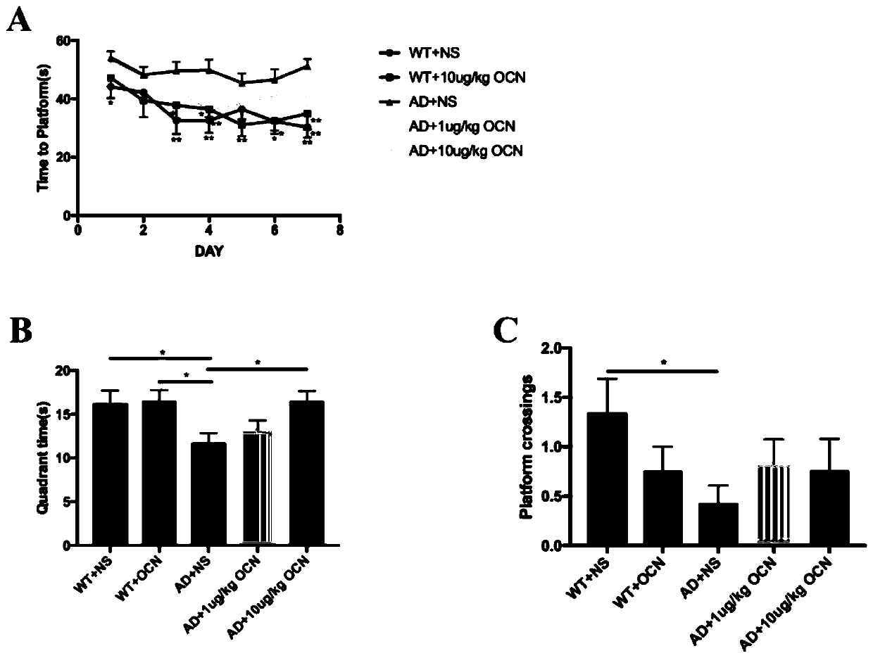 Application of osteocalcin to preparation of medicines for Alzheimer's disease