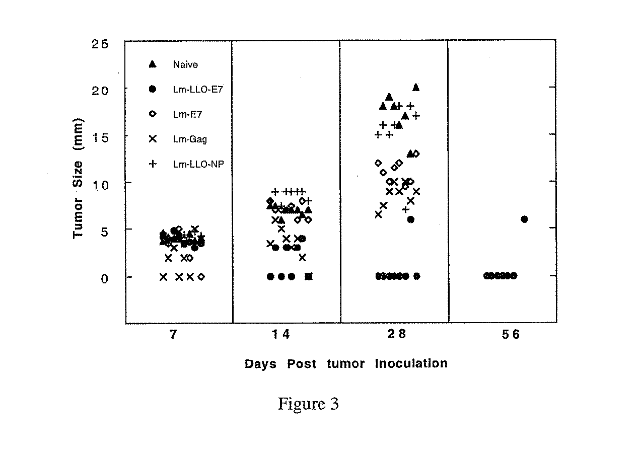 Suppressor cell function inhibition following listeria vaccine treatment