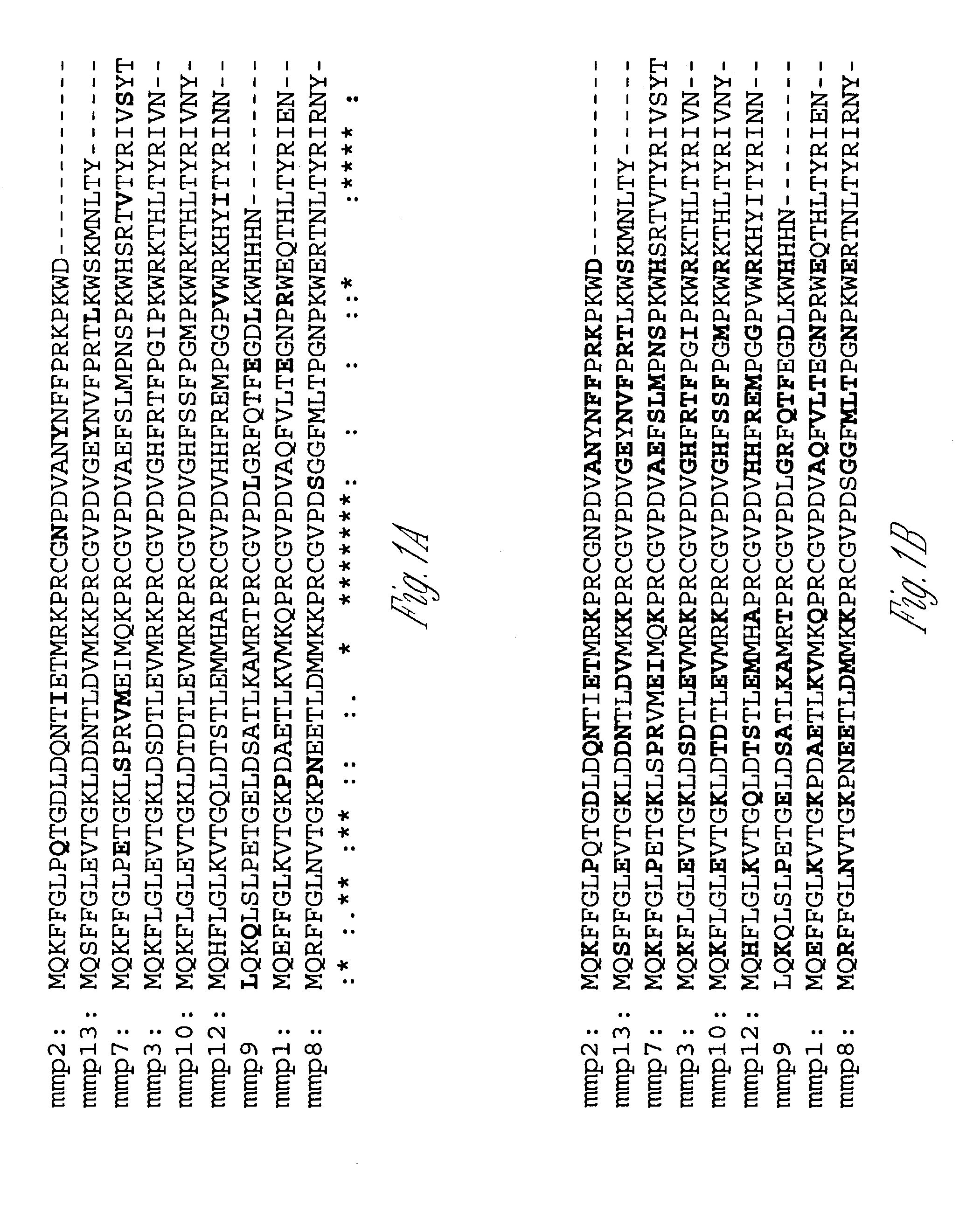 Method to increase fibronectin