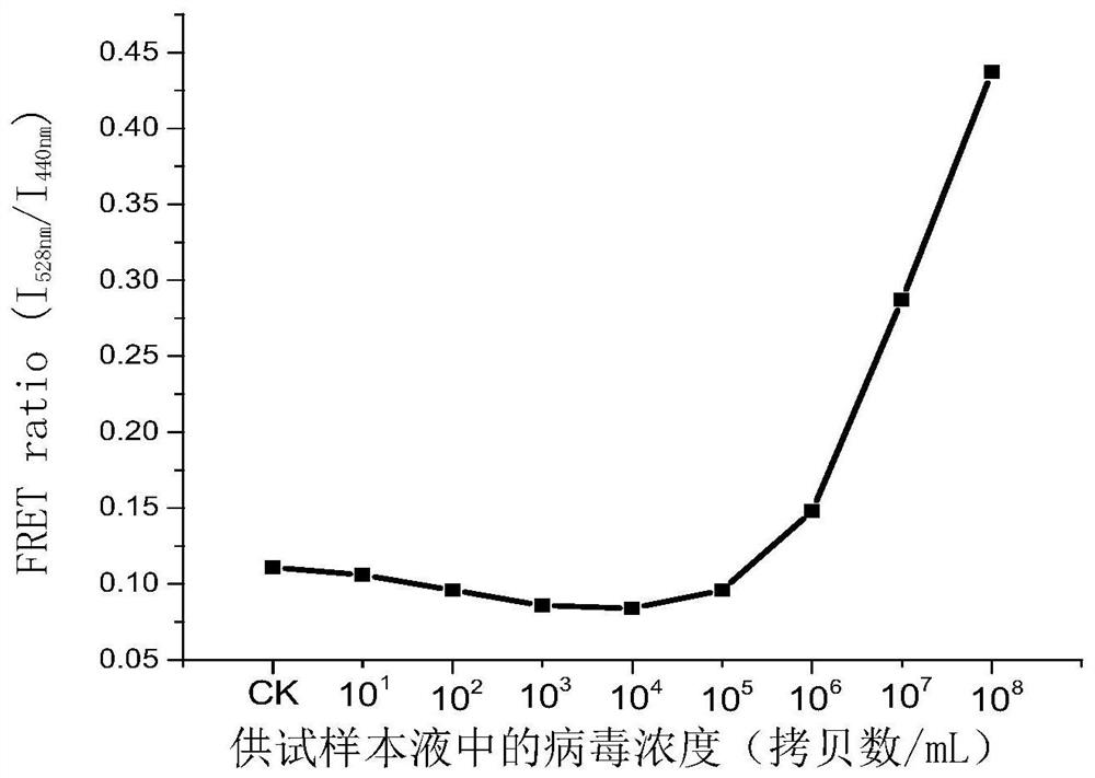 Method for rapidly detecting RNA viruses based on CCP-FRET