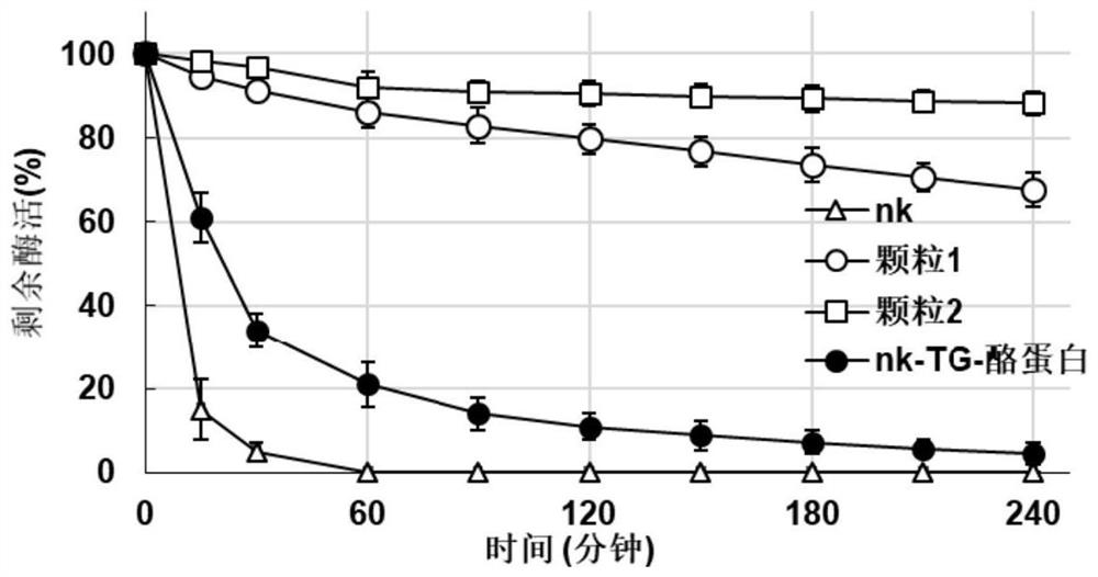 A kind of nattokinase sustained-release microspheres and preparation method thereof