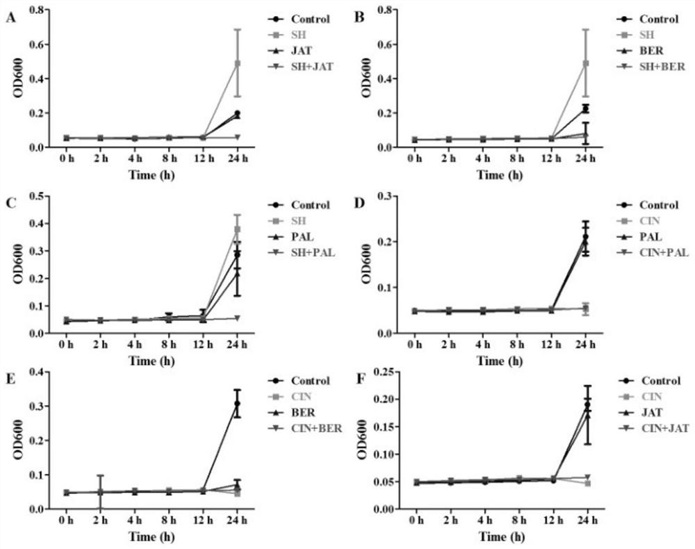 Method for evaluating antifungal effect of traditional Chinese medicine monomer through candida albicans cell wall reconstruction