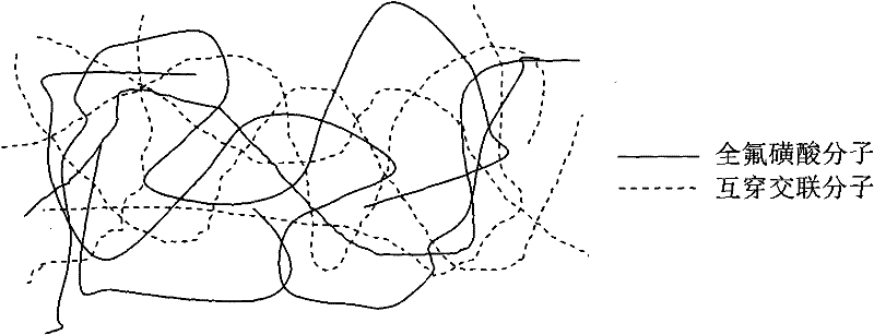 Ion exchange membrane with interpenetrating network structure and preparation method thereof