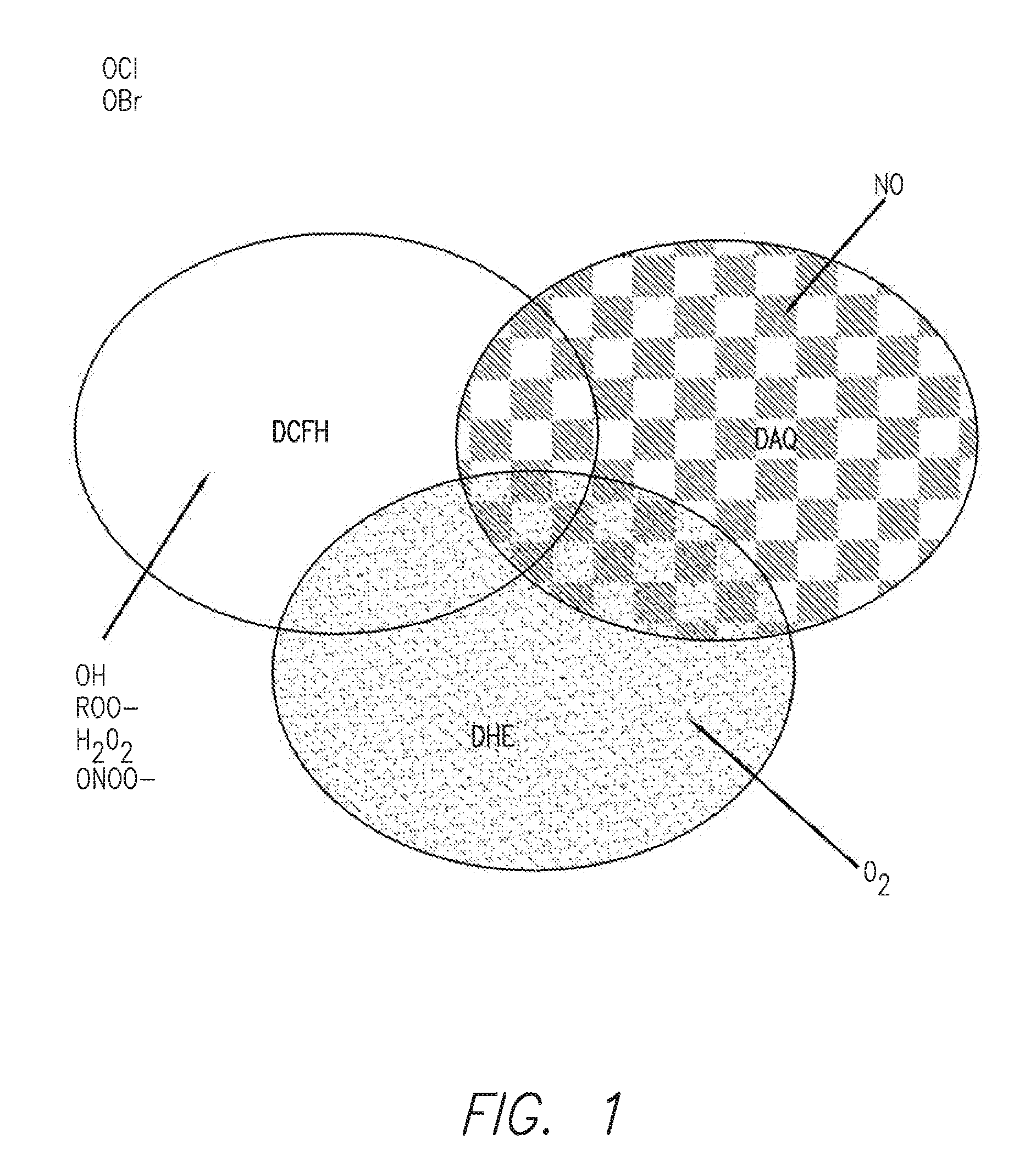 Profiling reactive oxygen, nitrogen and halogen species