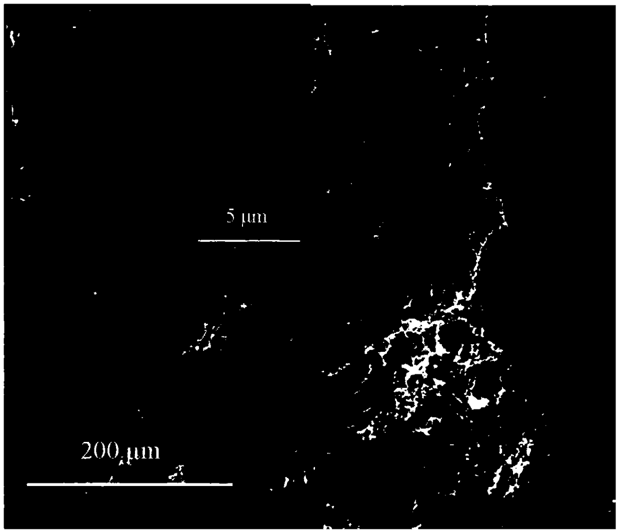 Oxygen reduction catalyst based on nitrogen-doped graphene aerogel and preparation method therefor