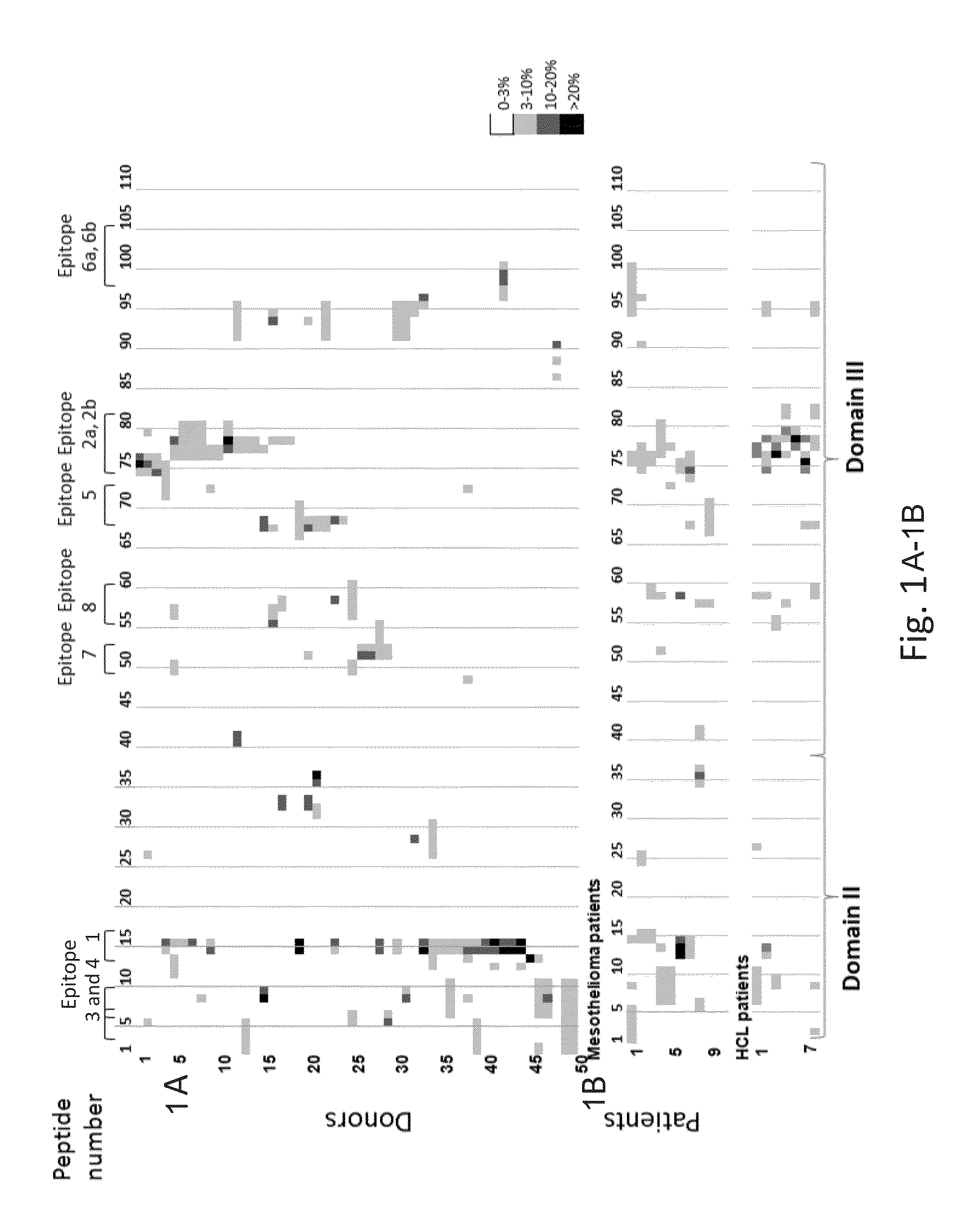 Modified <i>Pseudomonas </i>exotoxin A