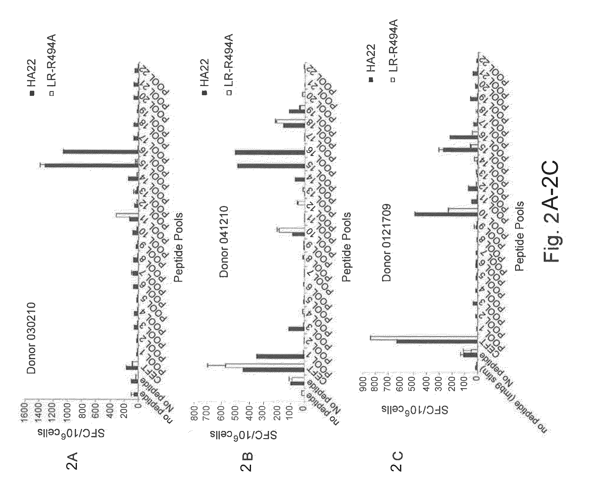 Modified <i>Pseudomonas </i>exotoxin A