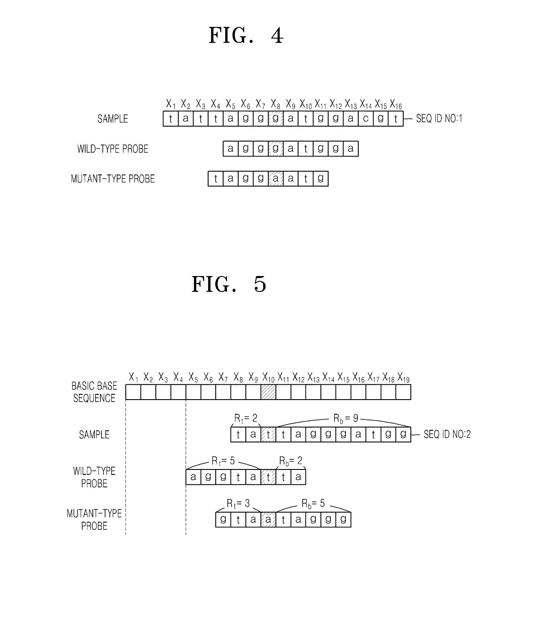 Apparatus and method for coding genetic information