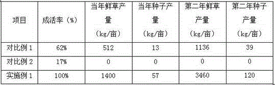 Method for building panicum virgatum into vegetation in severe saline-alkali soil