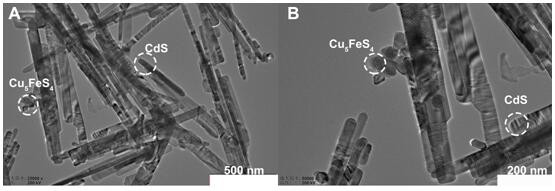 Preparation method of CdS/Cu5FeS4 heterojunction semiconductor photocatalyst