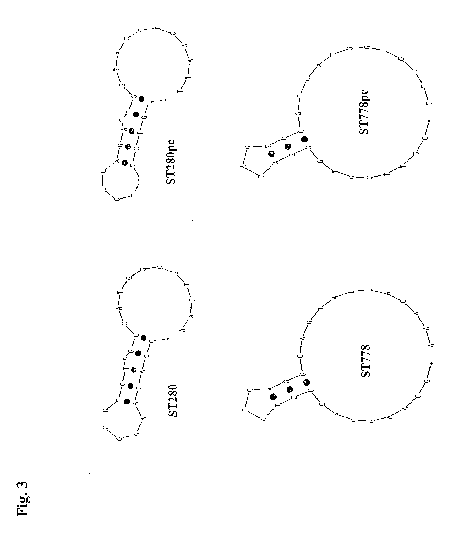 Method for the determination of a nucleic acid using a control