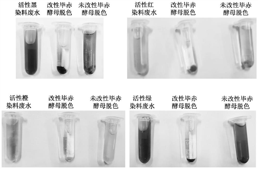 Dye adsorbent and preparation method and application thereof