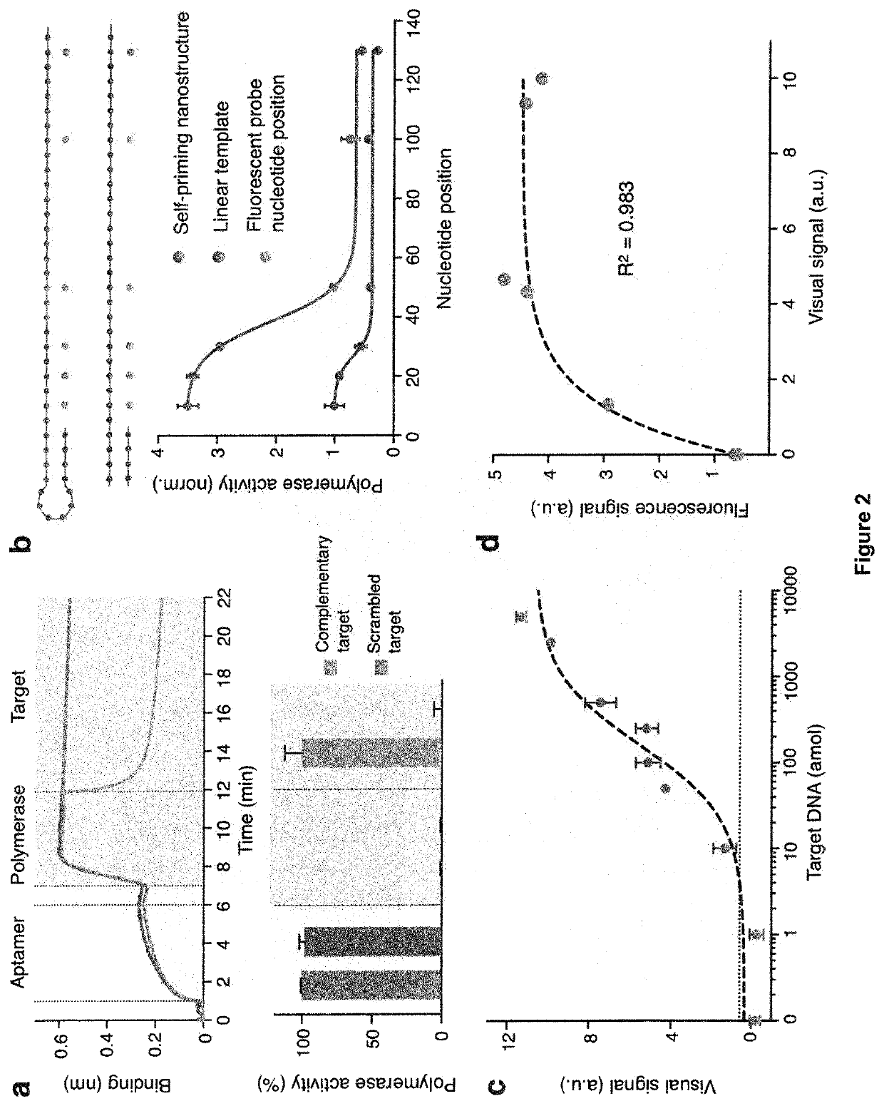 Visual and modular detection of nucleic acids with enzyme-assisted nanotechnology