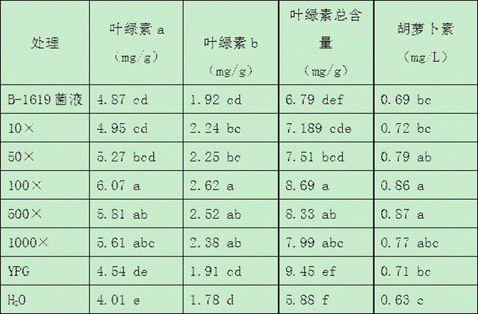 Application of bacillus amyloliquefaciens B-1619 in aspect of promoting growth of greenhouse vegetables