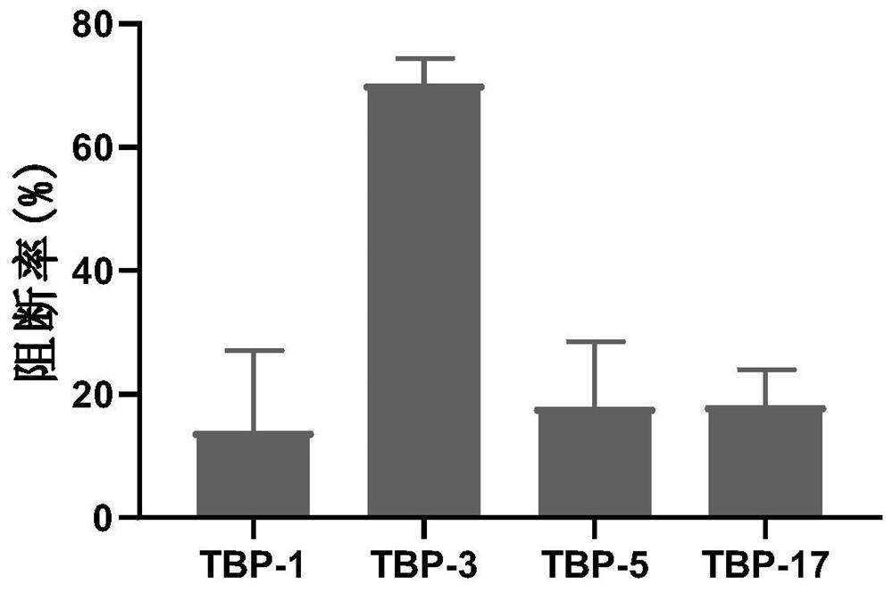 Affinity agent of TIGIT-IgV and application thereof