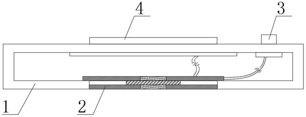 Rapid brain core temperature measuring instrument