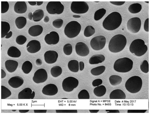 A polylactic acid/tianjia rubber composite material with balanced rigidity and toughness and its preparation method