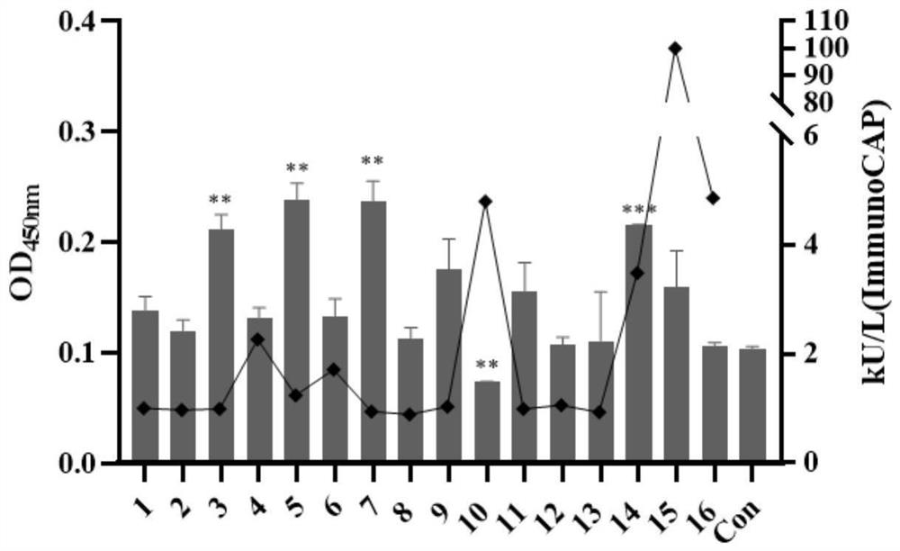 IgE binding epitope of main allergen alpha-lactalbumin of cow milk whey