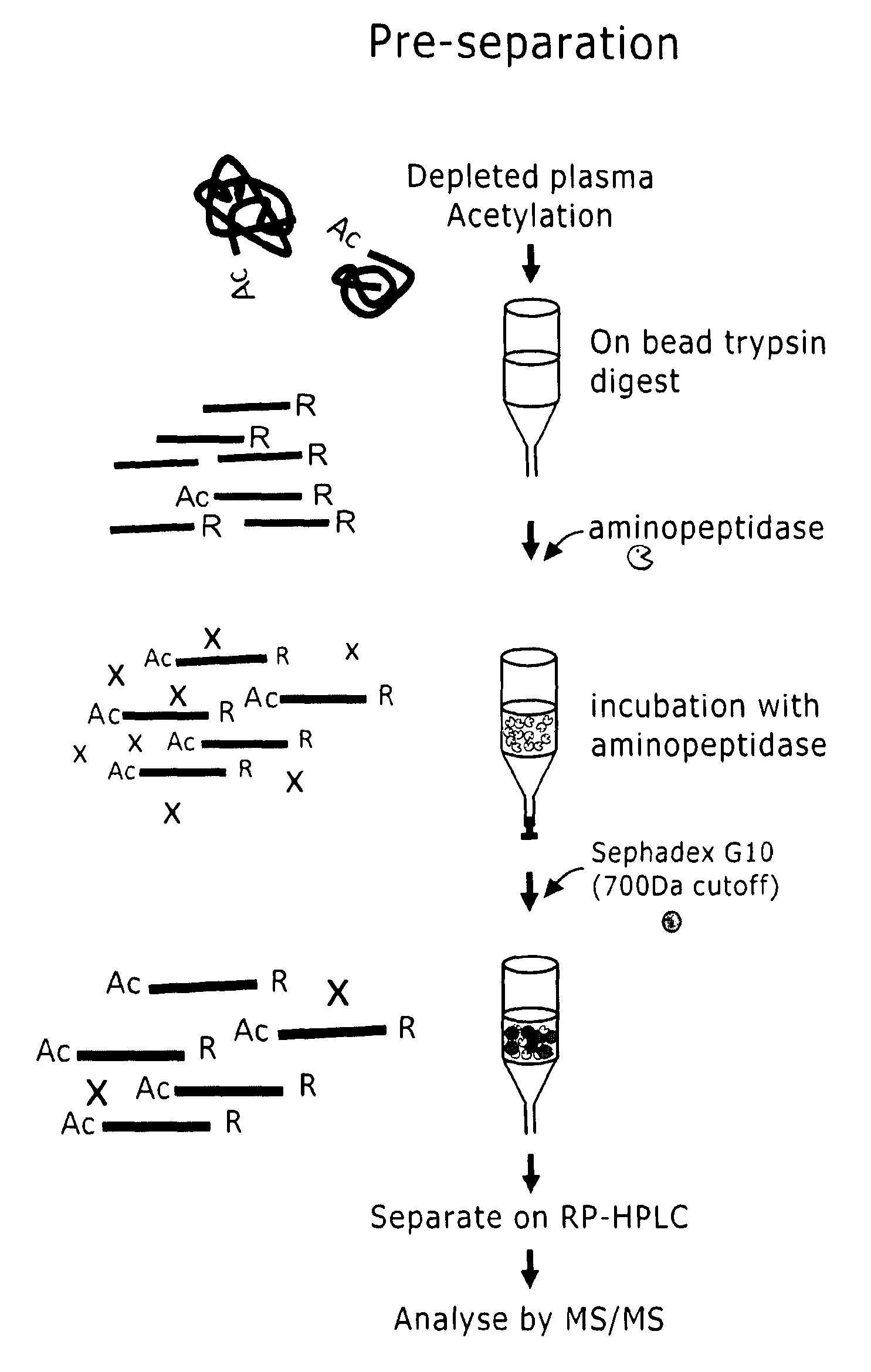 Preparation of samples for proteome analysis