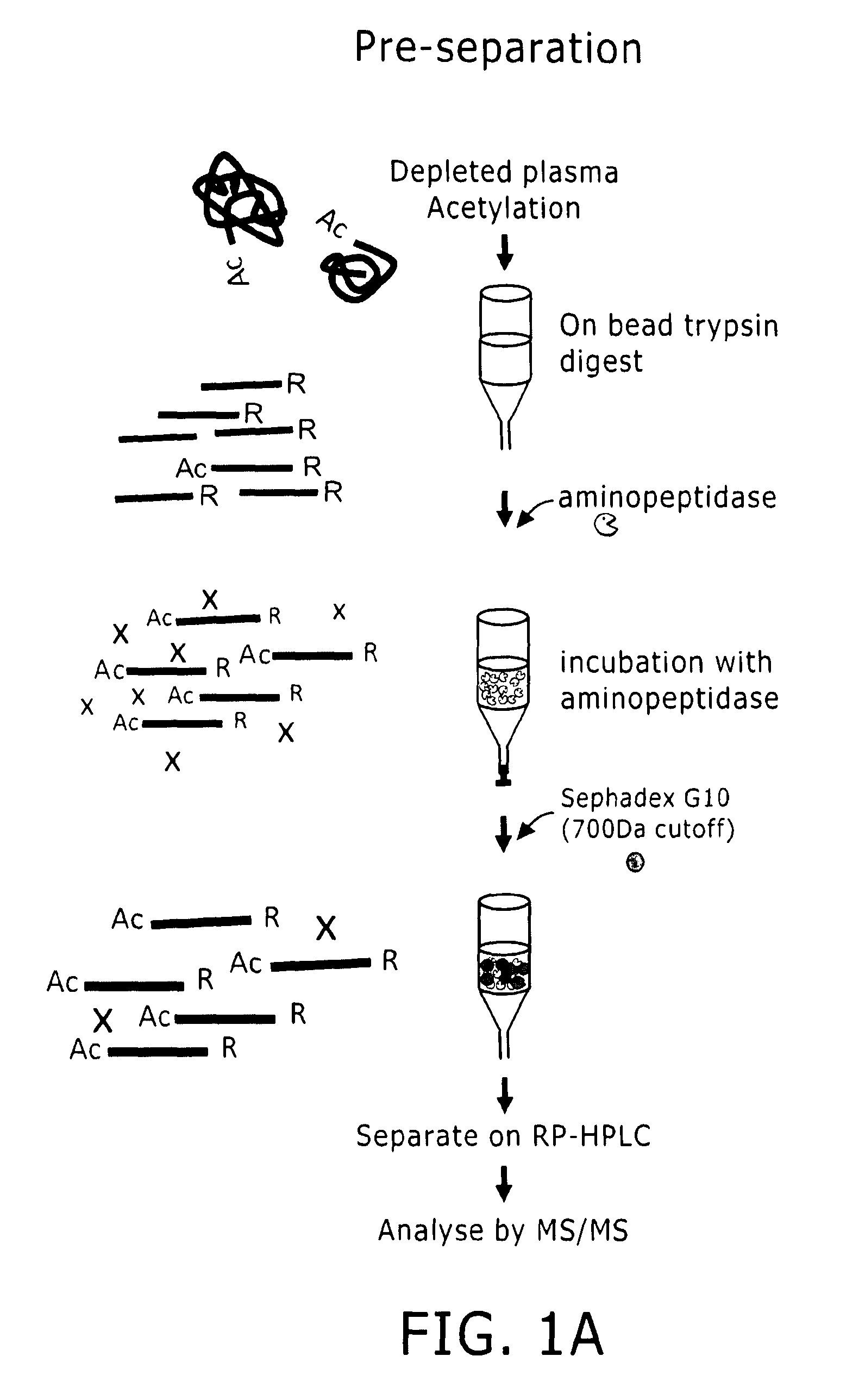 Preparation of samples for proteome analysis