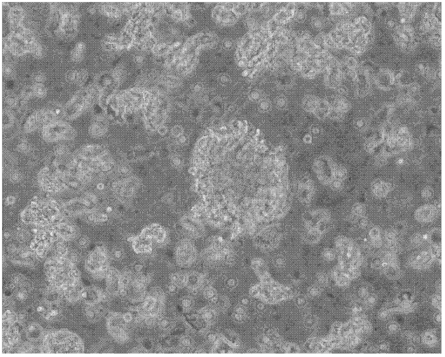 Method for isolating and culturing human meningioma cells