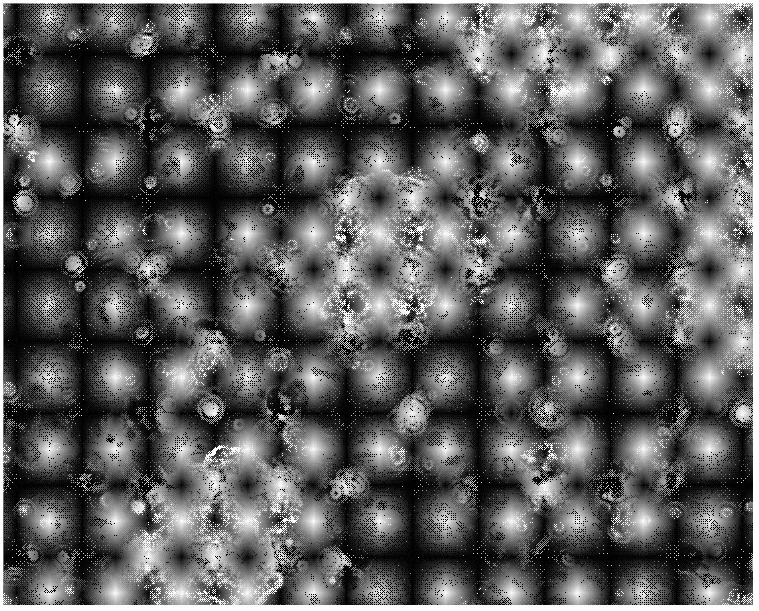 Method for isolating and culturing human meningioma cells