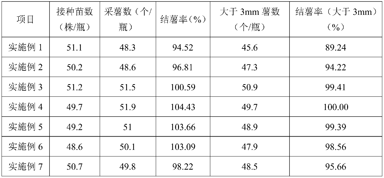 Test tube potato production method