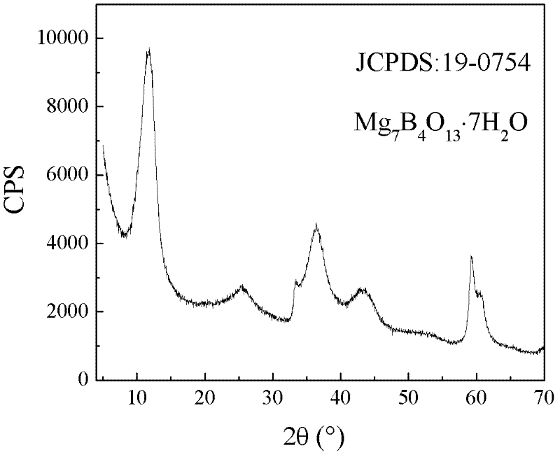 Preparation method of multi-level structure magnesium borate hollow microspheres