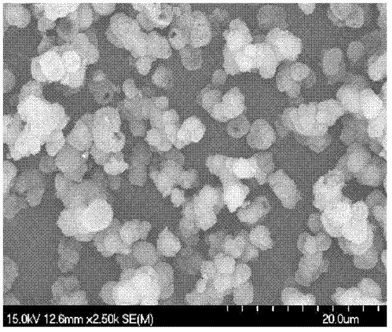 Preparation method of multi-level structure magnesium borate hollow microspheres