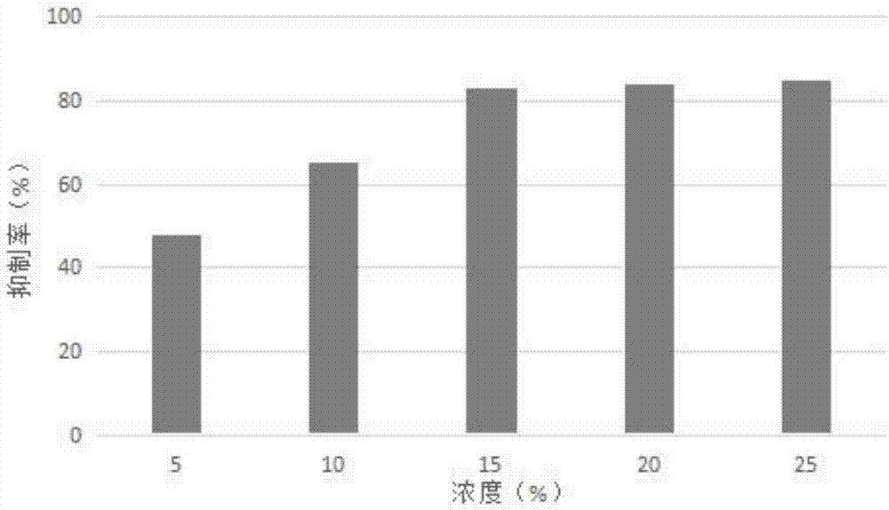 Skin whitening and spot fading composition and application thereof