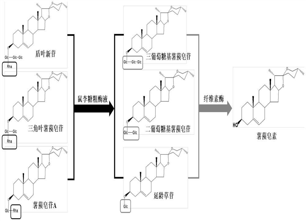 Method for preparing diosgenin through biological method conversion