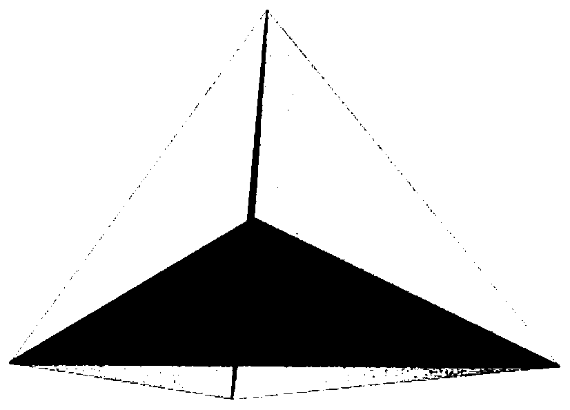 Demonstration model based on five element theory of 'Huangdi Neijing'