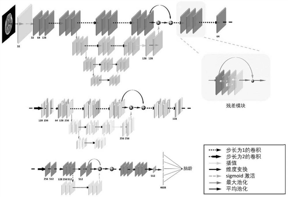 Method and device for fetal brain age estimation and abnormal detection based on deep learning