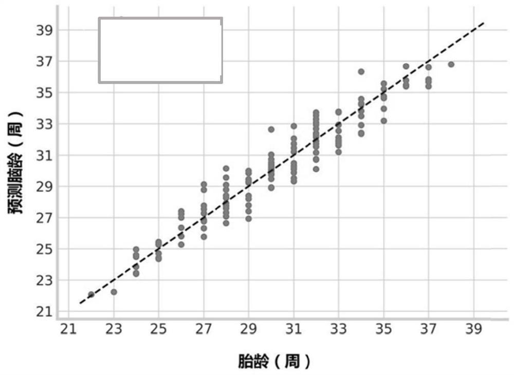 Method and device for fetal brain age estimation and abnormal detection based on deep learning