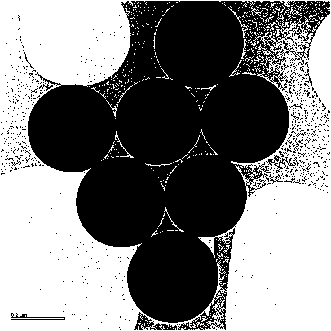 Spherical nitrogen-doped carbon/titanium oxide double-shell coated titanium oxide/sulfur lithium-sulfur battery positive electrode material and preparation method thereof