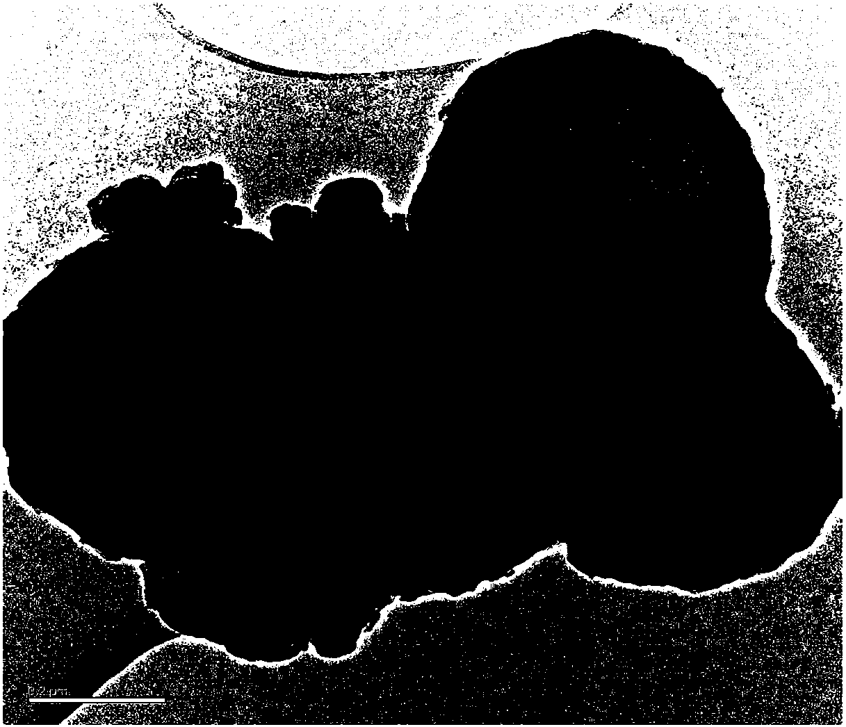 Spherical nitrogen-doped carbon/titanium oxide double-shell coated titanium oxide/sulfur lithium-sulfur battery positive electrode material and preparation method thereof