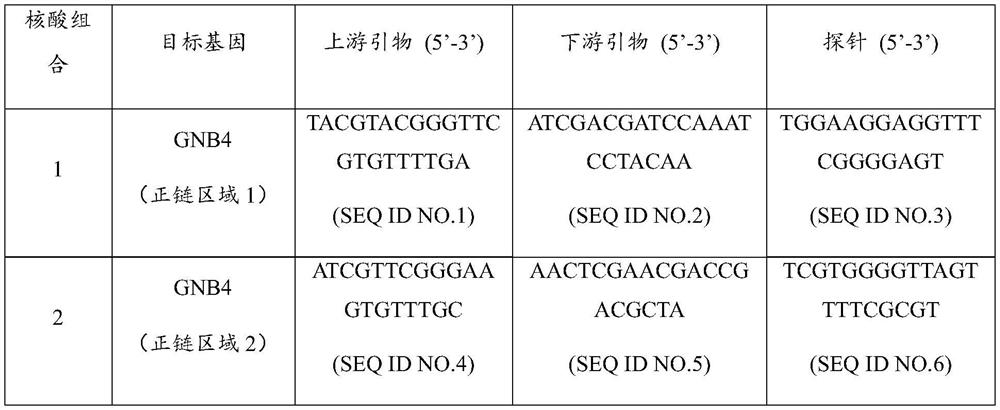 Nucleic acid composition for diagnosis or auxiliary diagnosis of liver cancer, detection kit and application thereof