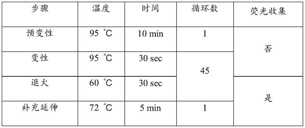 Nucleic acid composition for diagnosis or auxiliary diagnosis of liver cancer, detection kit and application thereof