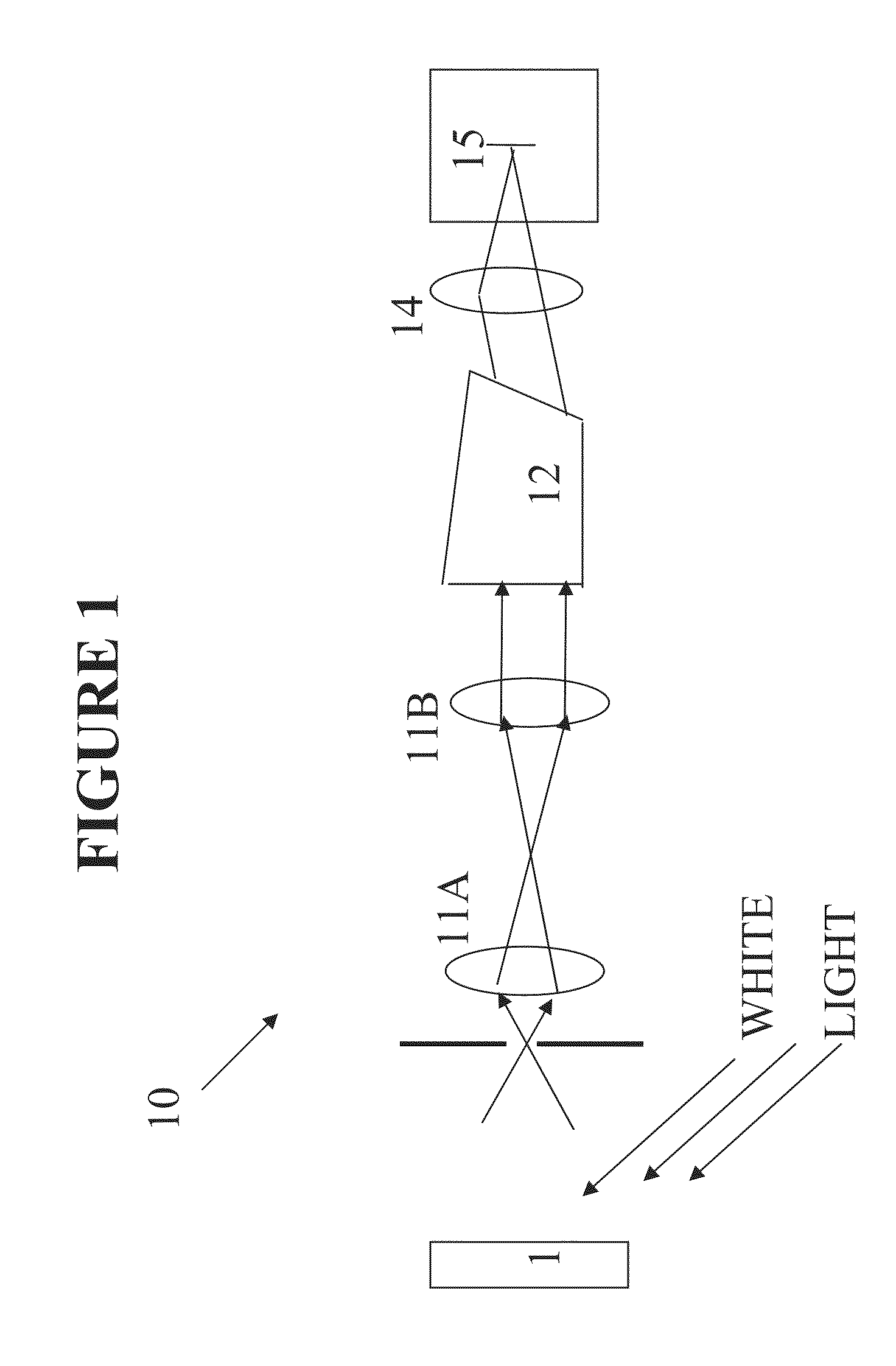 Noninvasive detection of elements and/or chemicals in biological matter