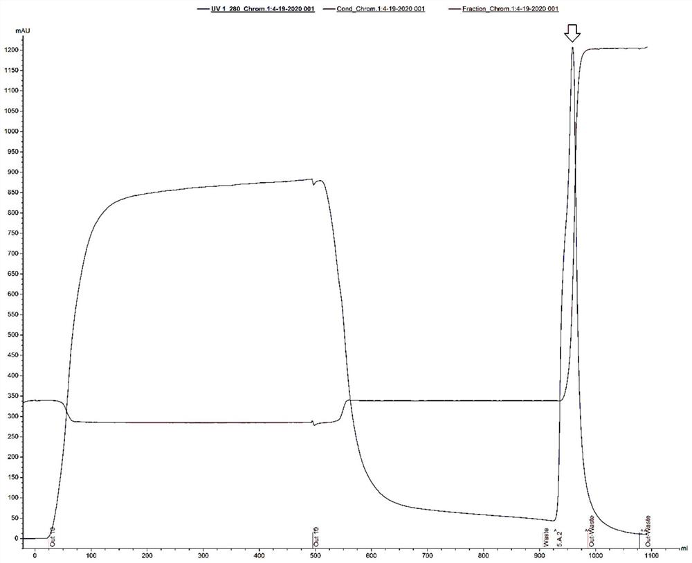 A kind of pseudovirus, its packaging method and drug evaluation system