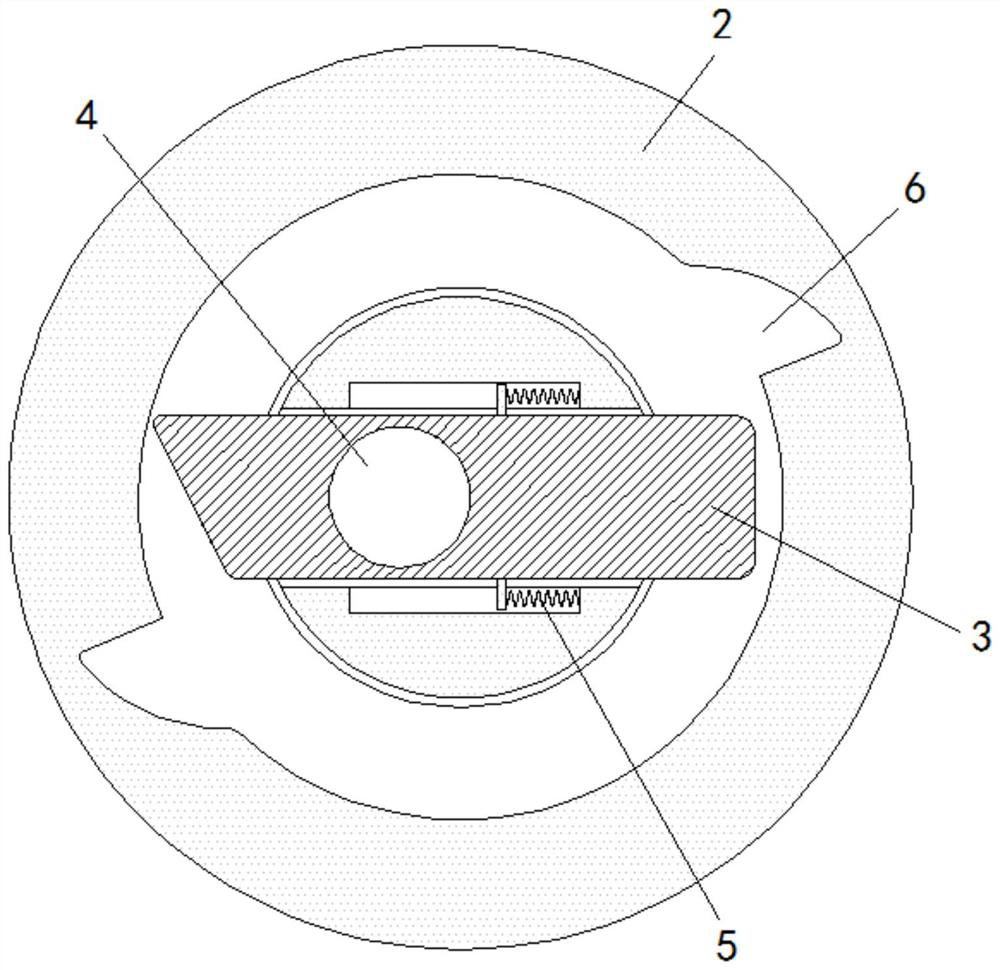 A polymer paint backflow protection device based on automatic operation of flow direction