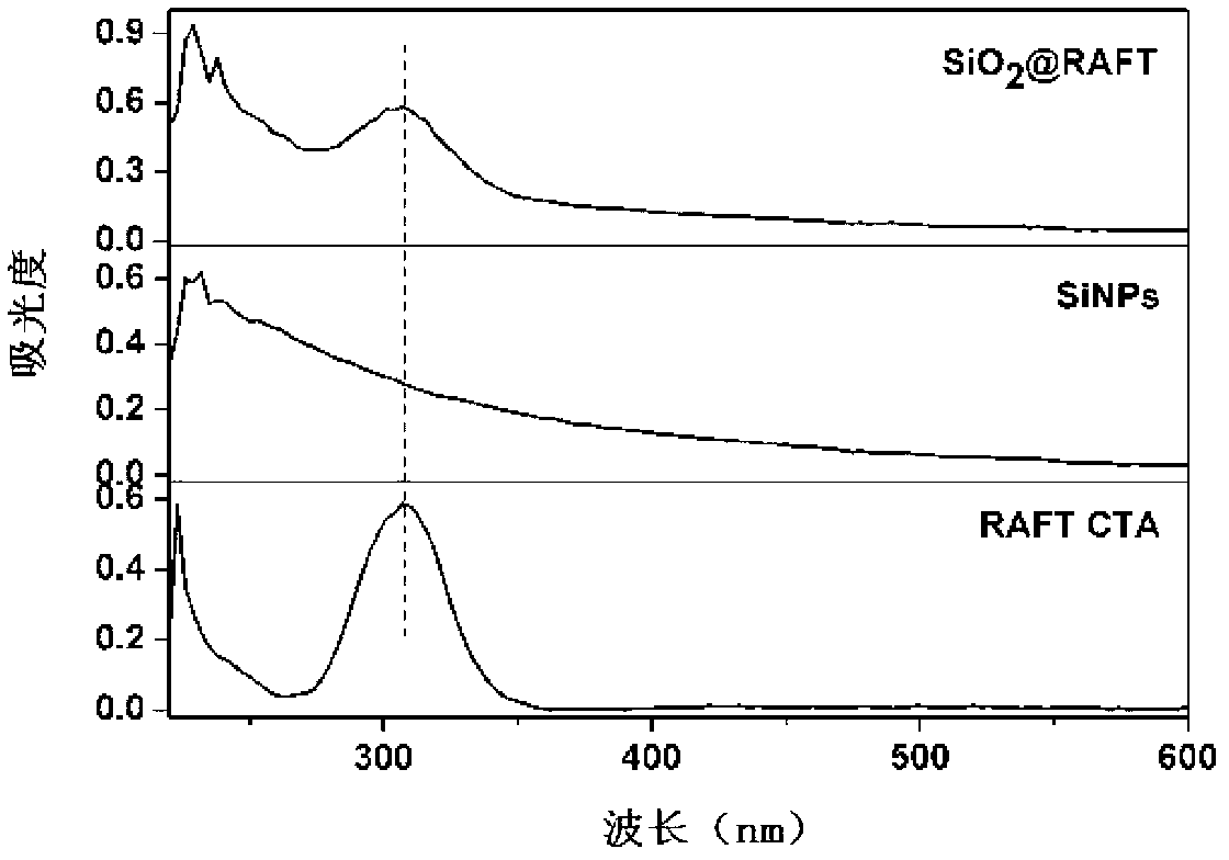 Living polymerization preparation method for polyacrylic acid ball brush and application of polyacrylic acid ball brush