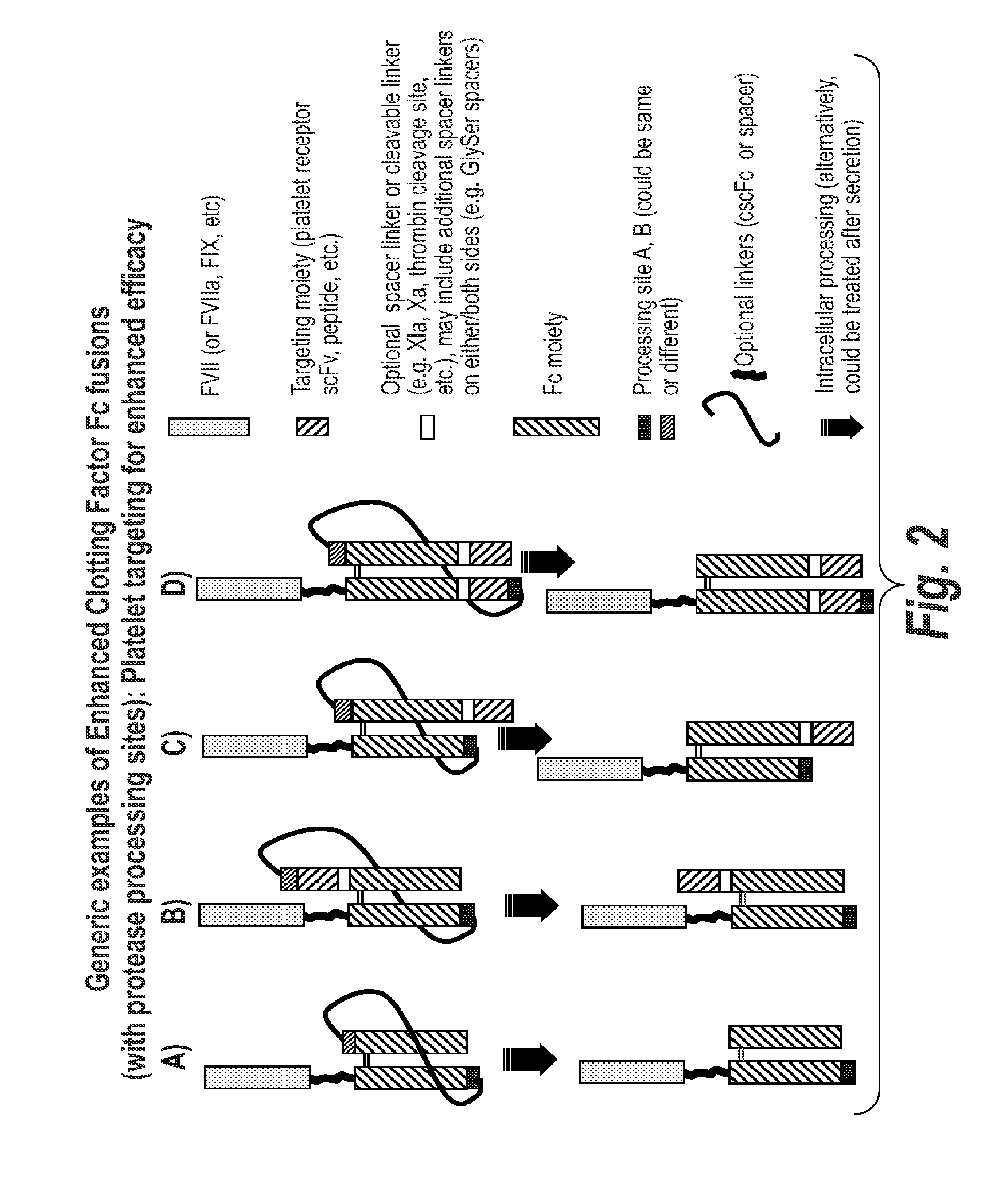 Chimeric Clotting Factors