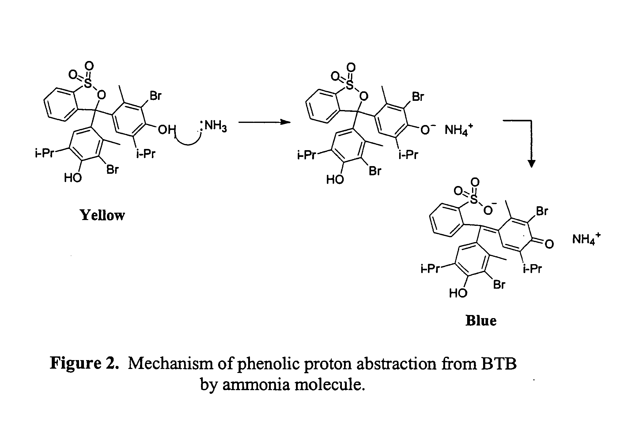 Ammonia detection device and related methods