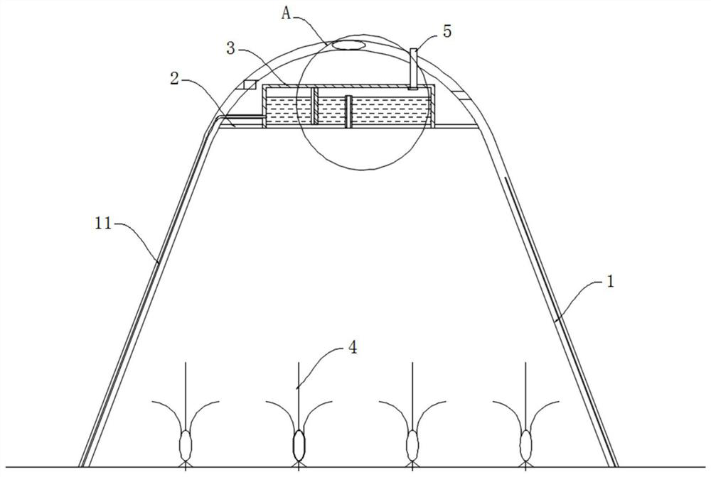 Gas self-circulation sun-proof plant greenhouse