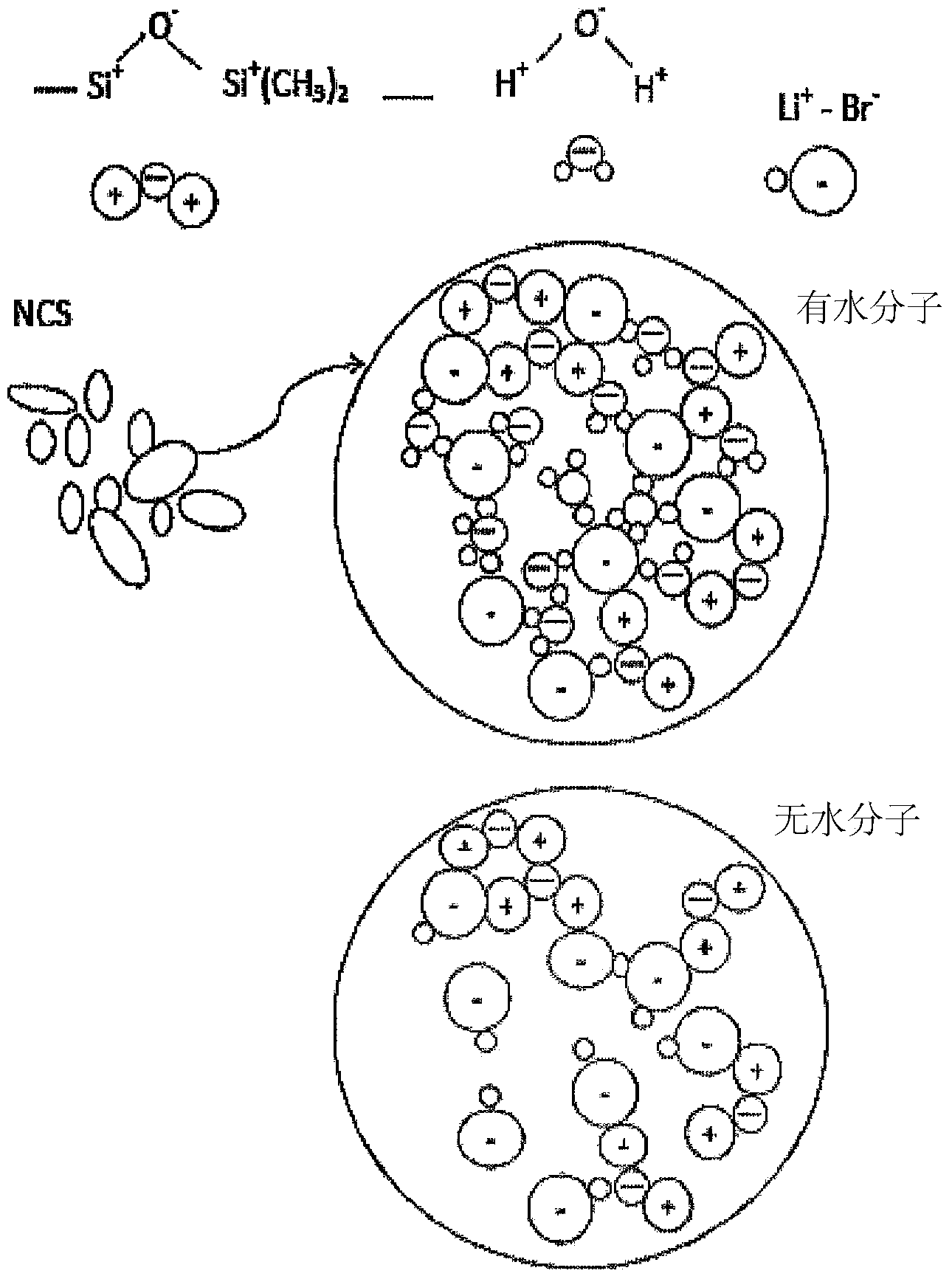 Salt coated with nanoparticles