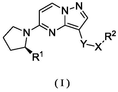 Substituted pyrazolo[1,5-a]pyrimidine compounds as trk kinase inhibitors